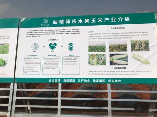 推廣有機(jī)肥改良土壤結(jié)構(gòu)，云南國(guó)發(fā)助力師宗煙草綠色高質(zhì)量發(fā)展